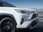 Toyota RAV4 Hybrid Style 2019 года (WW)